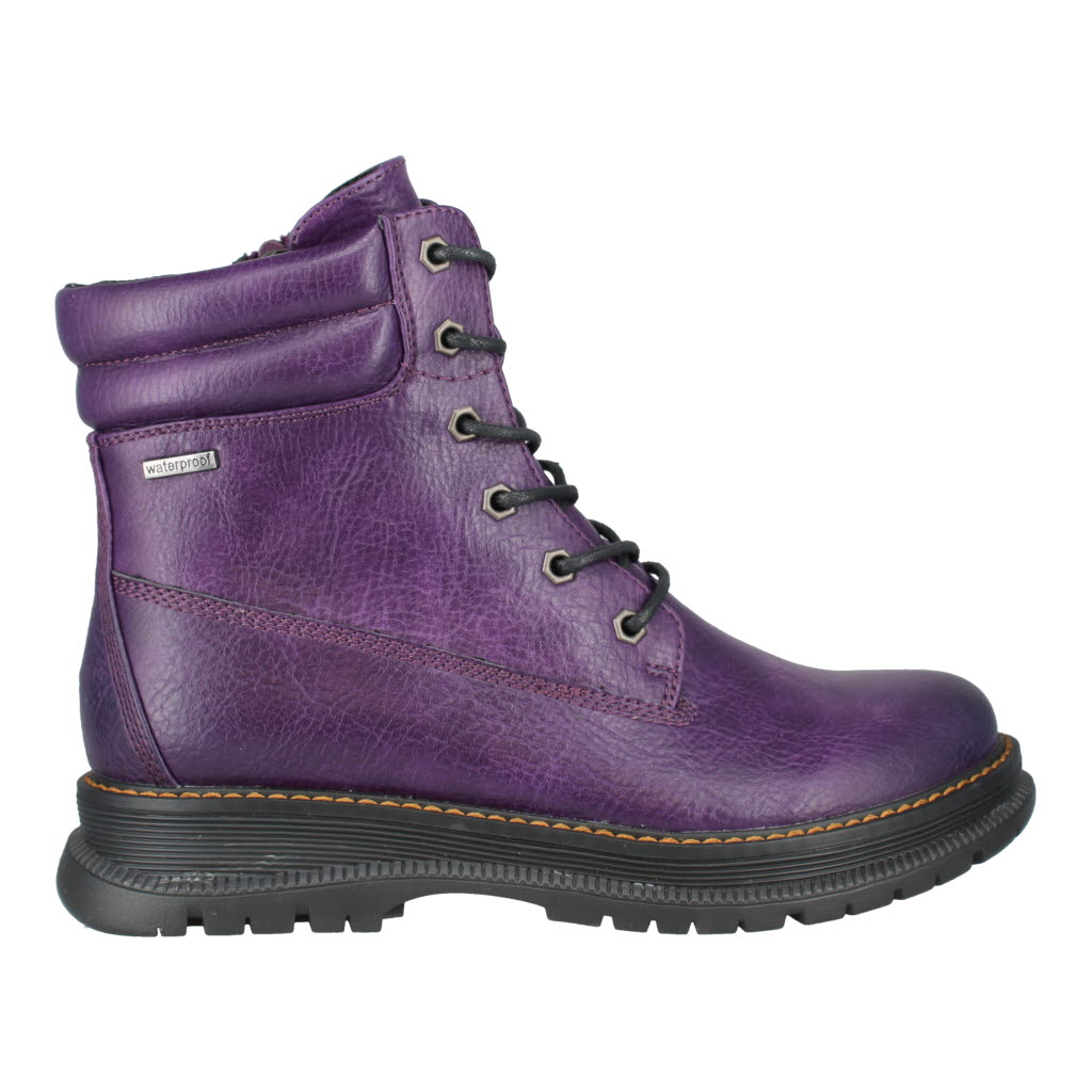Westland Peyton 01 Purple