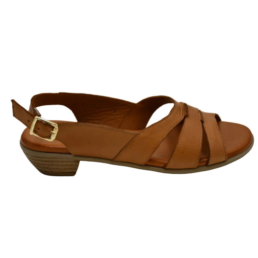 Mago 066 1955 278 Coconut