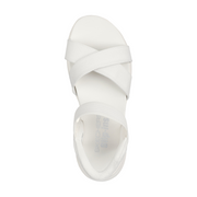 Skechers 119975 Slip In Sandal OFWT