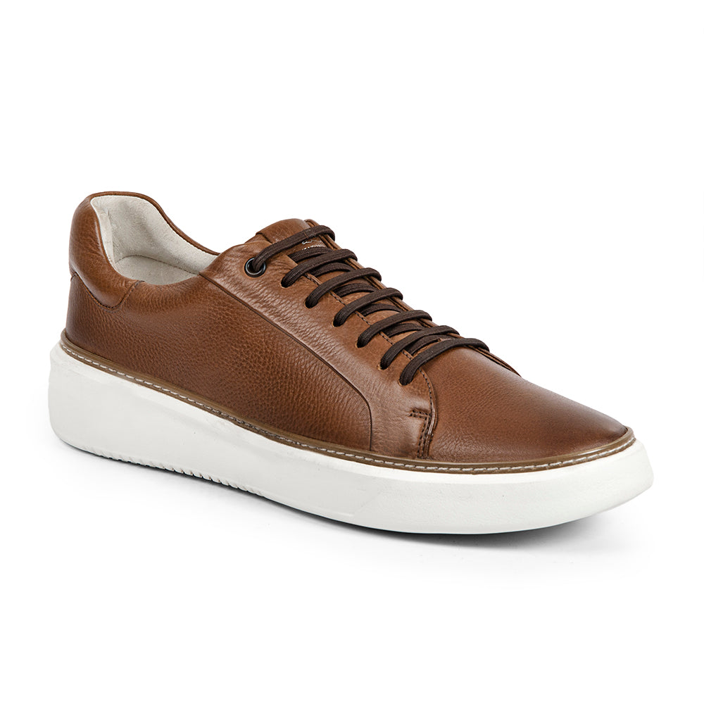 Anatomic Reduto Cedar