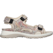 Waldlaufer 769004 104 264 Summer