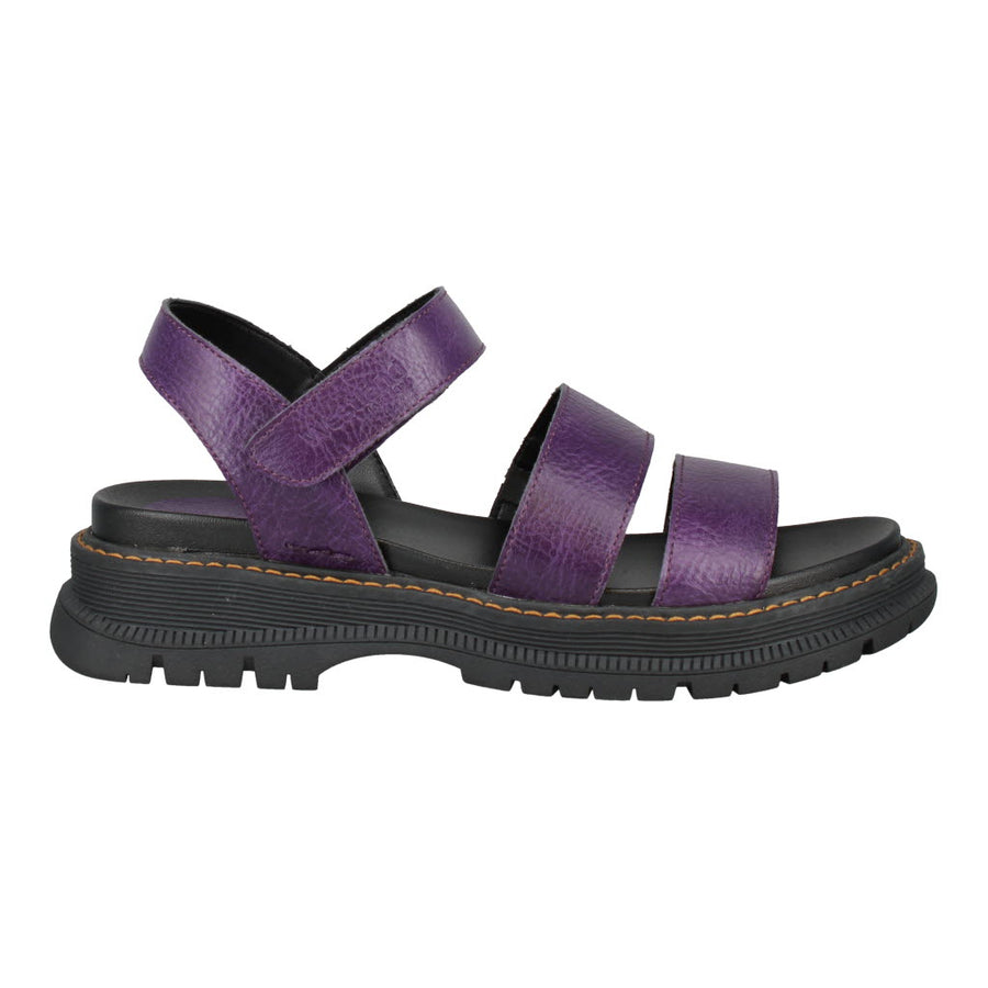 Westland Peyton 08 Purple