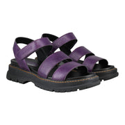 Westland Peyton 08 Purple