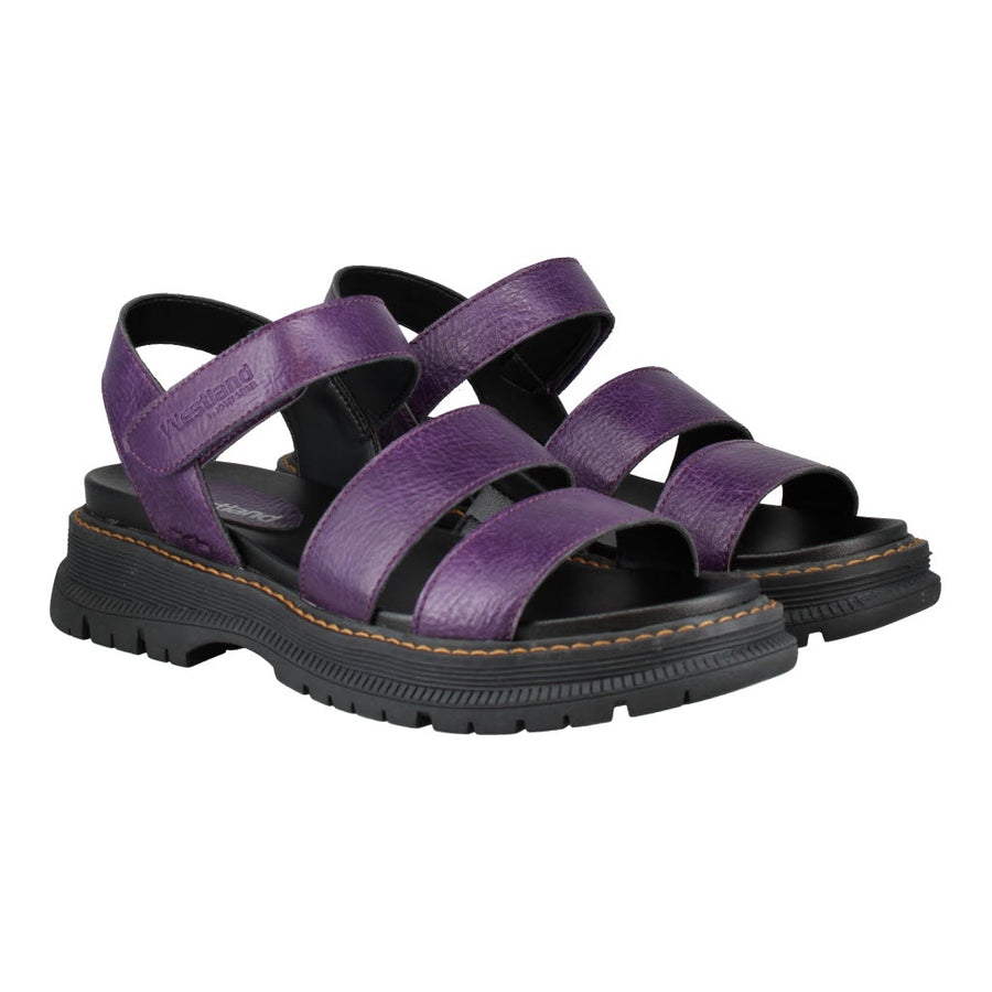 Westland Peyton 08 Purple