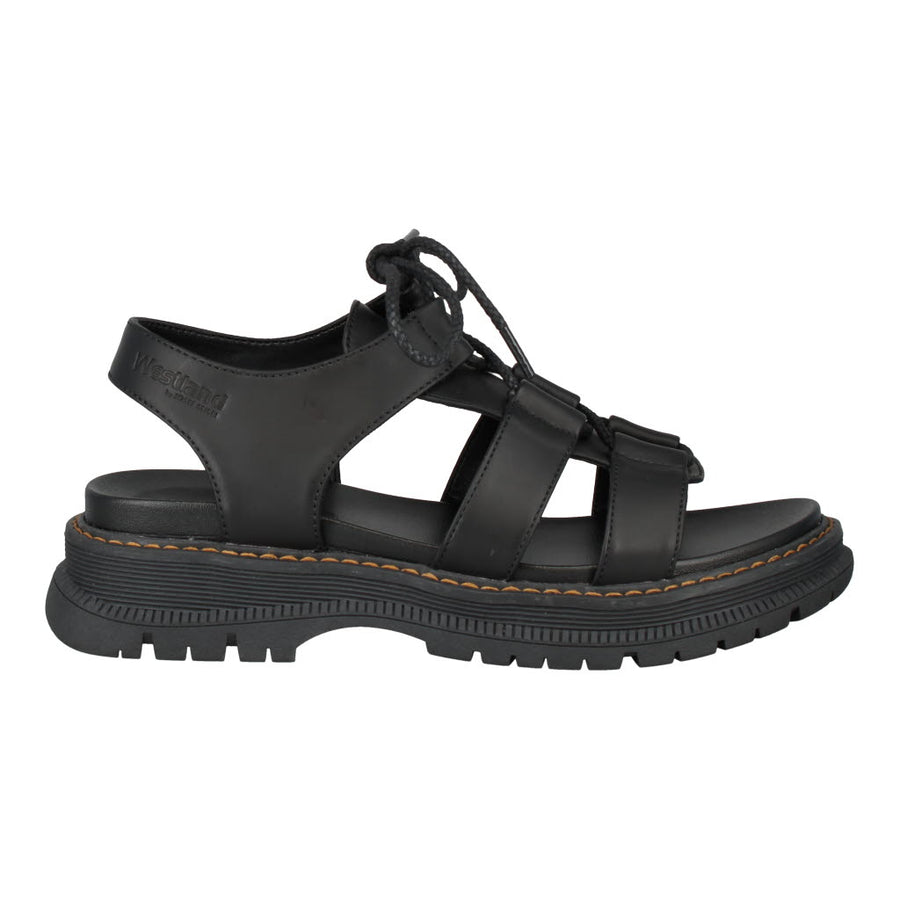 Westland Peyton 14 Black