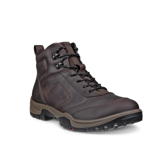 Ecco 811414 Xpedition III M Wp Boot Coffee 02072