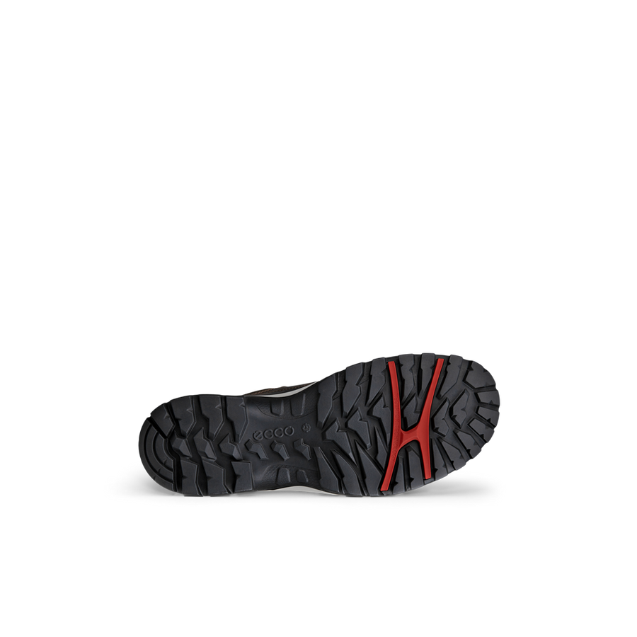 Ecco 811434 Xpedition III M Shoe Dark Clay 02559