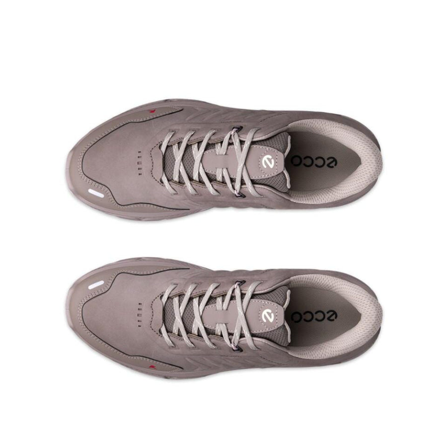 Ecco 854323-61809 Falcon Receptor XP W Low-Cut WP