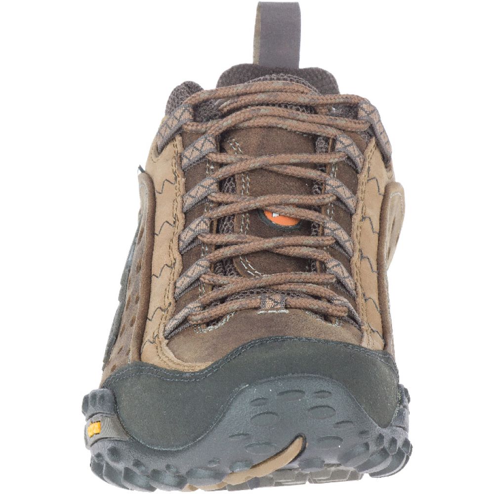 Merrell Intercept J73705 Moth Brown Wards Shoes Ltd