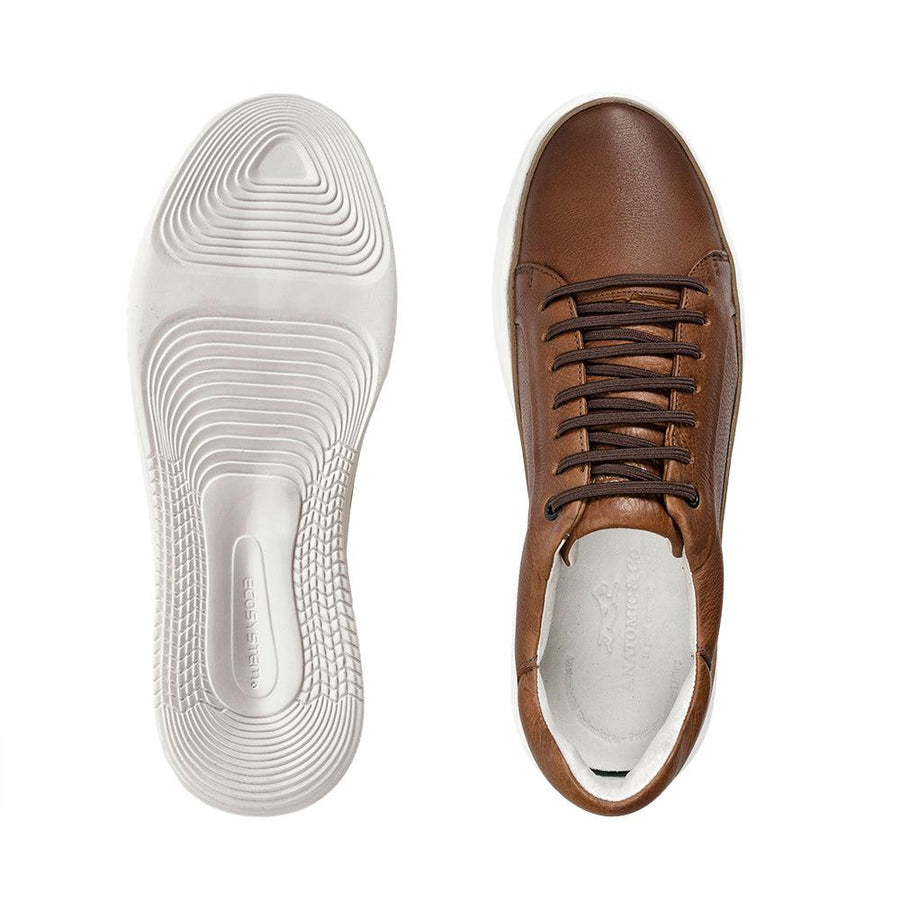 Anatomic Reduto Cedar