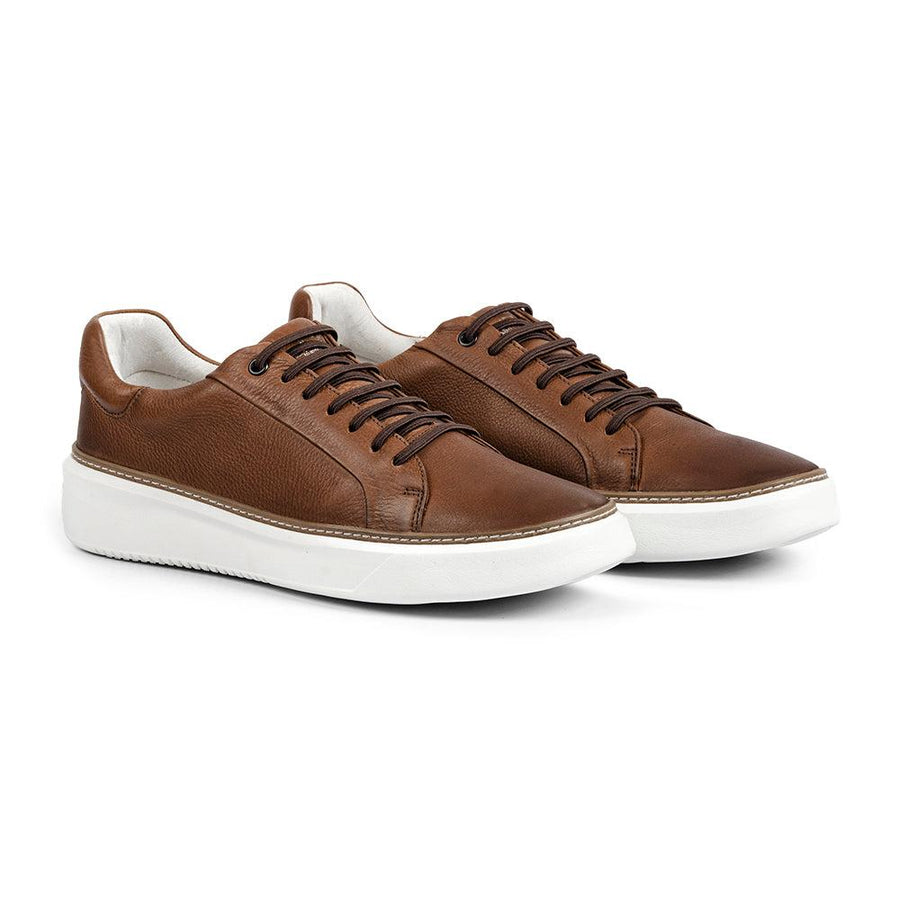 Anatomic Reduto Cedar