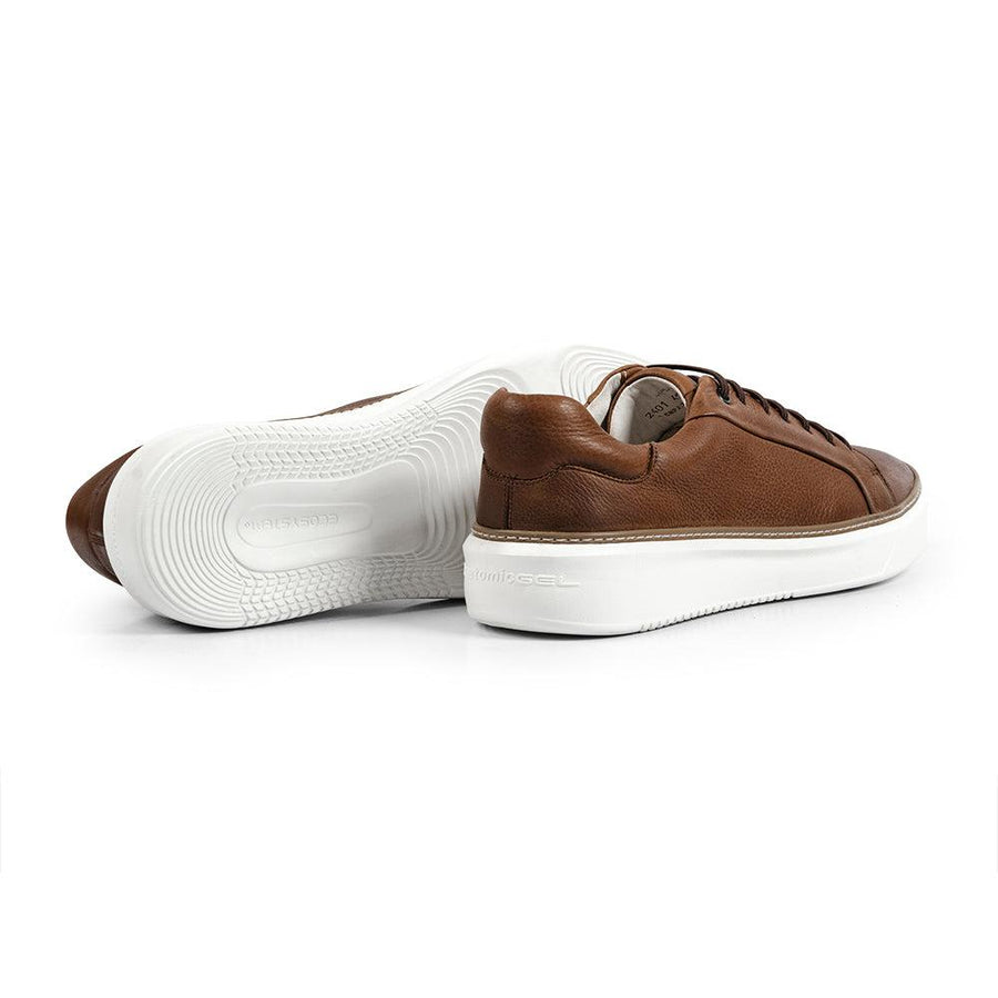 Anatomic Reduto Cedar