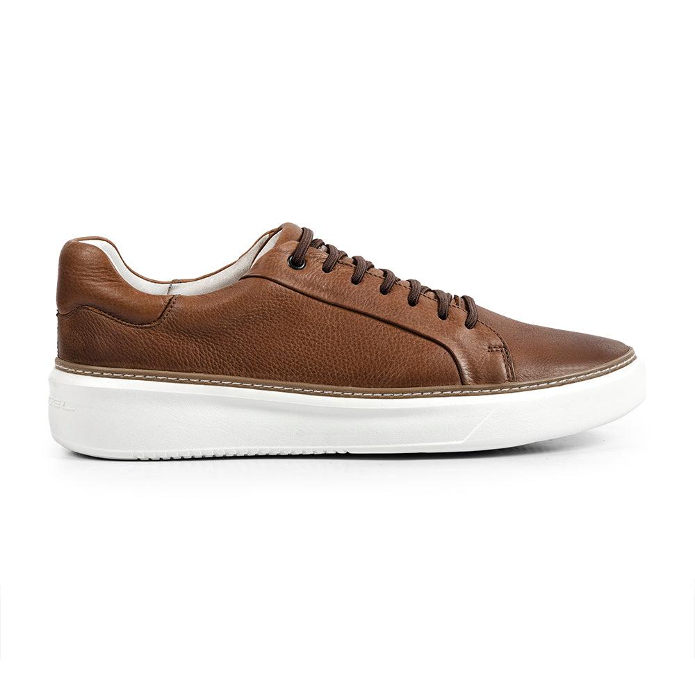 Anatomic Reduto Cedar