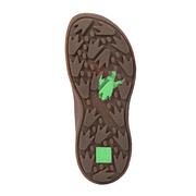 El Naturalista N5476 M Oroel Brown