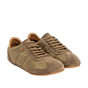 El Naturalista N5935A M Ondina Salvia