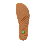 El Naturalista N5935A M Ondina Salvia