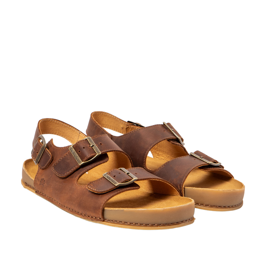 El Naturalista N6001 W Horizon Terra