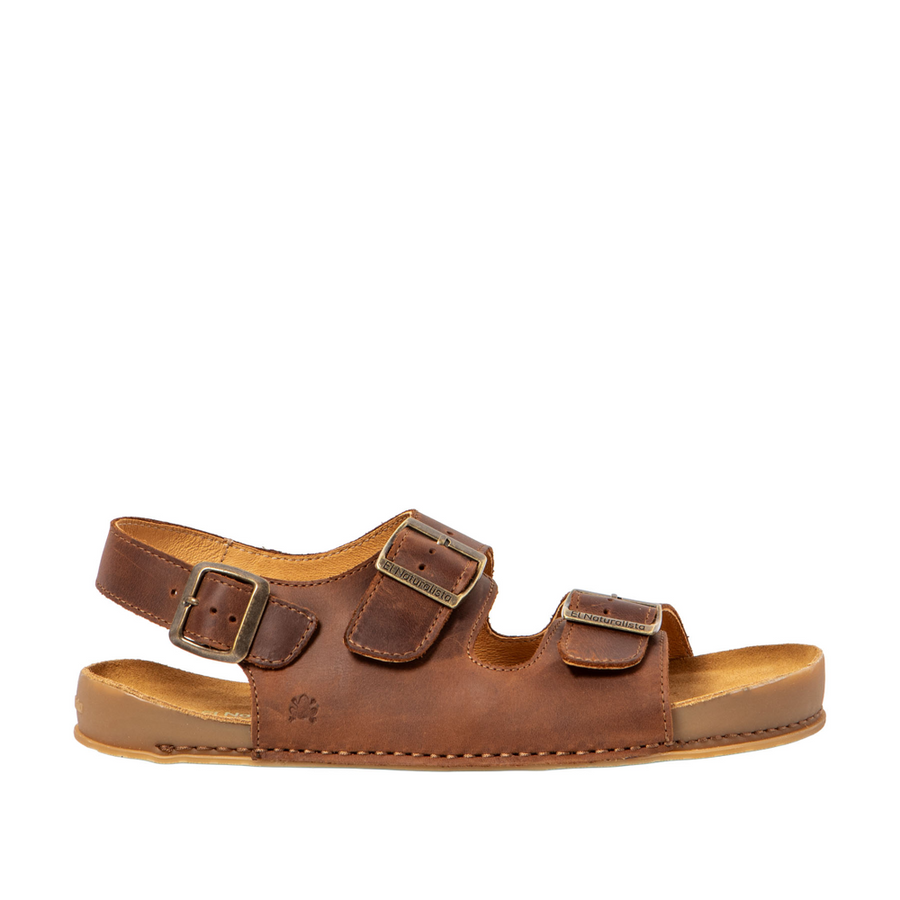 El Naturalista N6001 W Horizon Terra