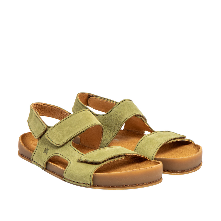 El Naturalista N6003 W Horizon Liken