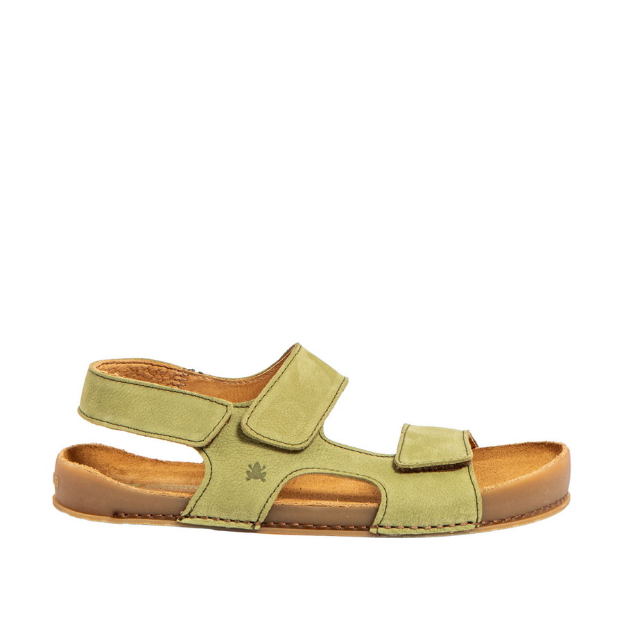 El Naturalista N6003 W Horizon Liken