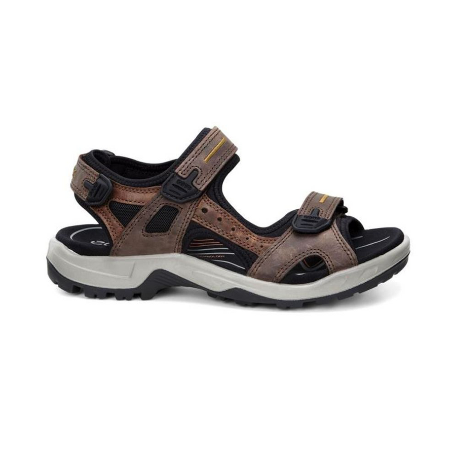Ecco 069564 on sale